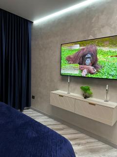 VIP Apartment on Ushanov Square - 5