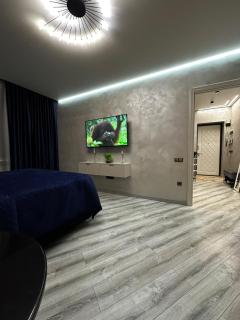 VIP Apartment on Ushanov Square - 2