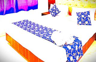 Hotel Rohit Rohini In Puri - 3