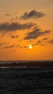 Roushan Resort Salalah Mirbat - 3
