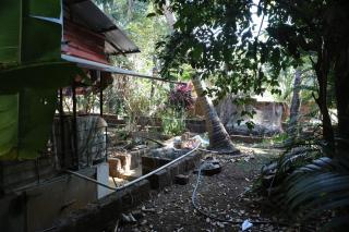 Devgad Bliss - 8