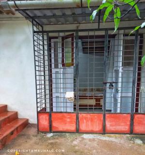 Devgad Bliss - 1