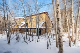 RMR: Columbine 1011 Condo in The AspensWilsonWY - 1