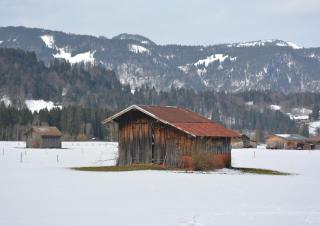 Berggeschwister - 6