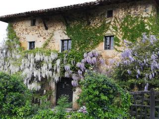 Historic Basque Farmhouse near Bilbao - 0