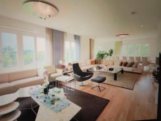 Luxury House Near Attractions - 3