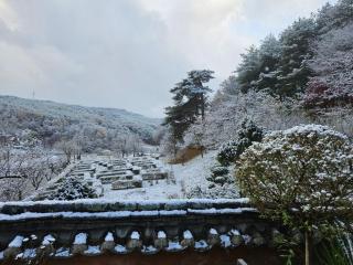 Gangneung HaSeokjae - 2