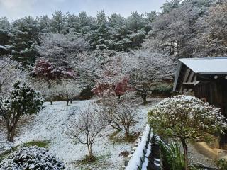 Gangneung HaSeokjae - 1