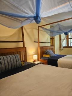 Kiwavi Home - Moshi - 4