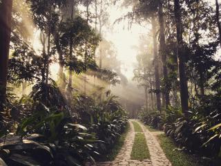 Pepper Trail - Sultan Bathery - 8