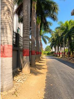 Jeenger's - Luxury Apartment with Terrace - 4