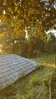 Zelten Camps & Cafe - 5