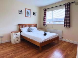 Contractor House Near Leixlip Town Centre - 0