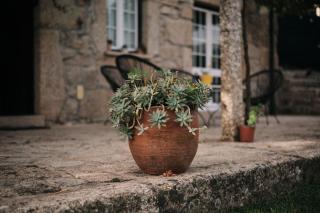 Casa Velha - 5