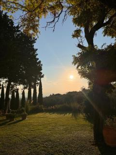 Agriturismo Sottotono - Carmignano - 7