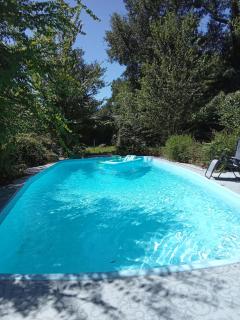 Peaceful 7BD Country Retreat Pool Sleeps 30 - Conroe - 4