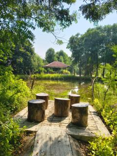 Blackbuck Safari Lodge Velavadar - 0