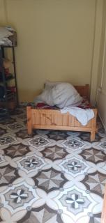 Lavish Homestay and cottage in jibhi kullu - 3