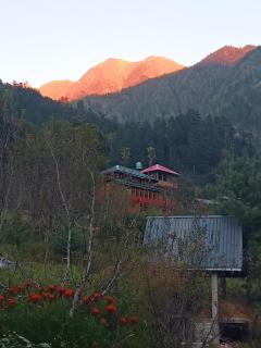Lavish Homestay and cottage in jibhi kullu - 4