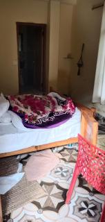 Lavish Homestay and cottage in jibhi kullu - 1