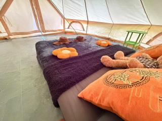 Amornkeeree Khao Sok Camping - 3