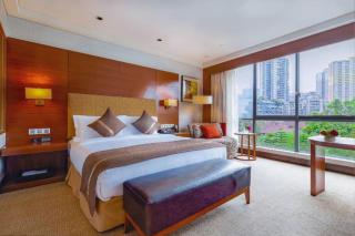Palace Hotels (Chongqing Nanbin Road Holy Land Hot Spring Branch) 朗丽兹酒店（重庆南滨路圣地温泉店） - 7