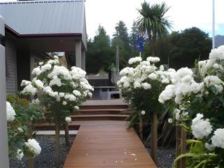 Amuri House Boutique Motel - 2