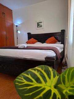 Cozy affordable and Modern Studio BnB in Nairobi Thika road Roysambu - 0