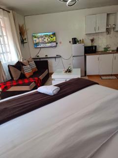 Cozy affordable and Modern Studio BnB in Nairobi Thika road Roysambu - 8