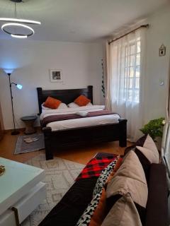 Cozy affordable and Modern Studio BnB in Nairobi Thika road Roysambu - 1