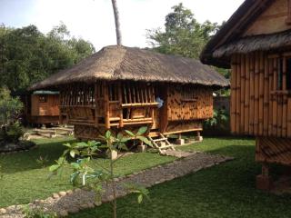calayo beach resort - 2