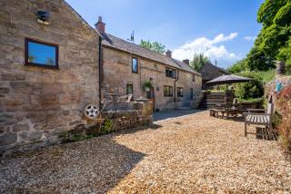 Dewy Lane Farm - 8