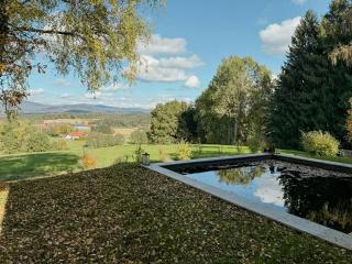 Design Cabin With Sauna And Spring Water Pool - 9