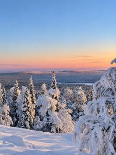Villa Priddy-Lapland Luxury with hot tub and sauna - 6