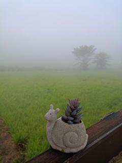Six Nature Resort - 9