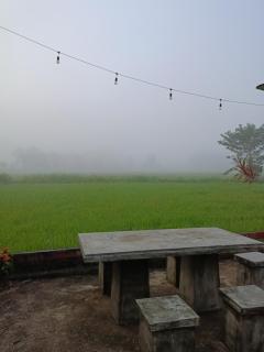 Six Nature Resort - 8