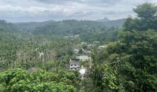 RAIN WOOD home stay service villa - 3