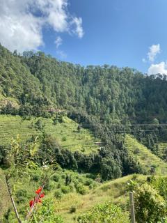 Cloud Camp Jungle Gali - Katra - 4