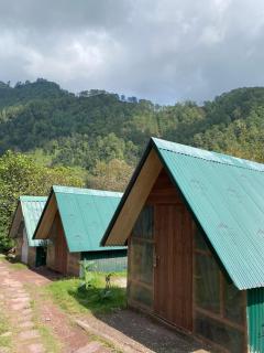Cloud Camp Jungle Gali - Katra - 3