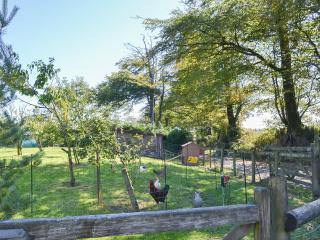 Old Mill- 23398 - 1