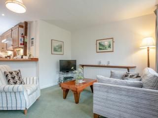 Tuckenhay, Mill Leat - Fcv - 4