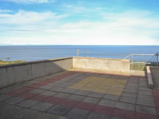 Vue Sur Les Dauphins - Uk30689 - 9