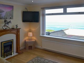 Vue Sur Les Dauphins - Uk30689 - 5