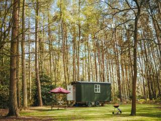 Honeysuckle Hut-Qu7066 - Melton Constable - 9