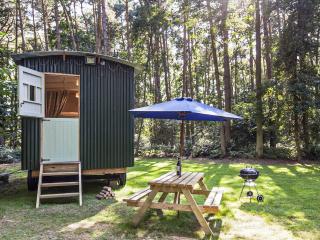 Honeysuckle Hut-Qu7066 - Melton Constable - 6
