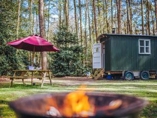 Honeysuckle Hut-Qu7066 - Melton Constable - 5