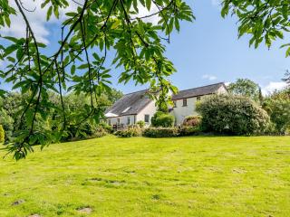 Ivy Cottage - Uk35243 - 1
