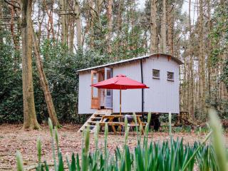 Cabane Goosewing-Qu7072 - Melton Constable - 4