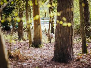 Cabane Goosewing-Qu7072 - Melton Constable - 3