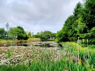 Le Cottage-Uk32854 - 4
